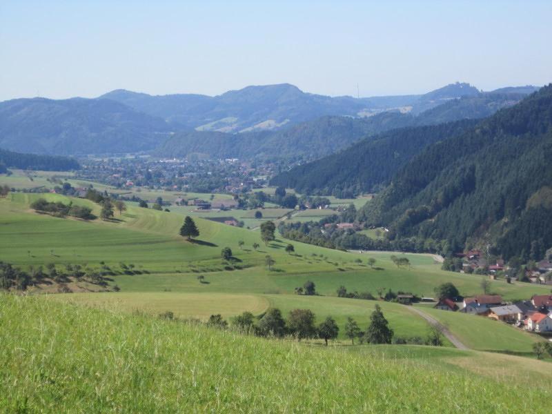 Ferienhaus Hubhof Oberharmersbach Exterior foto