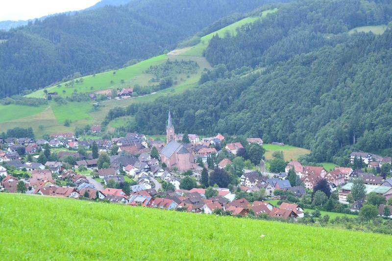 Ferienhaus Hubhof Oberharmersbach Exterior foto